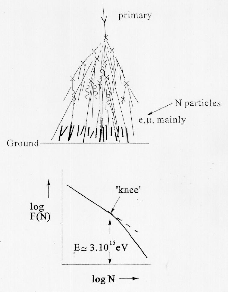 fig7