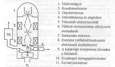 4. bra