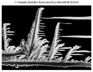 C-vitamin kristlya keresztezett polrszrk kztt