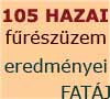 105 hazai furszzem gazdasgi teljestmnye - 2010. - Megvizsgltunk 105 hazai furszzemet mukdteto vllalkozst (60 kemny-lombos, 44 lgy-lombos, 1 fenyo-feldolgoz) a 2010-es vi teljestmnyei alapjn.